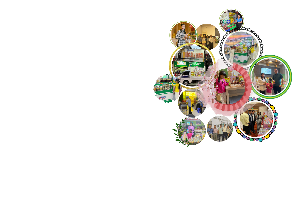 hinh anh web (5).png